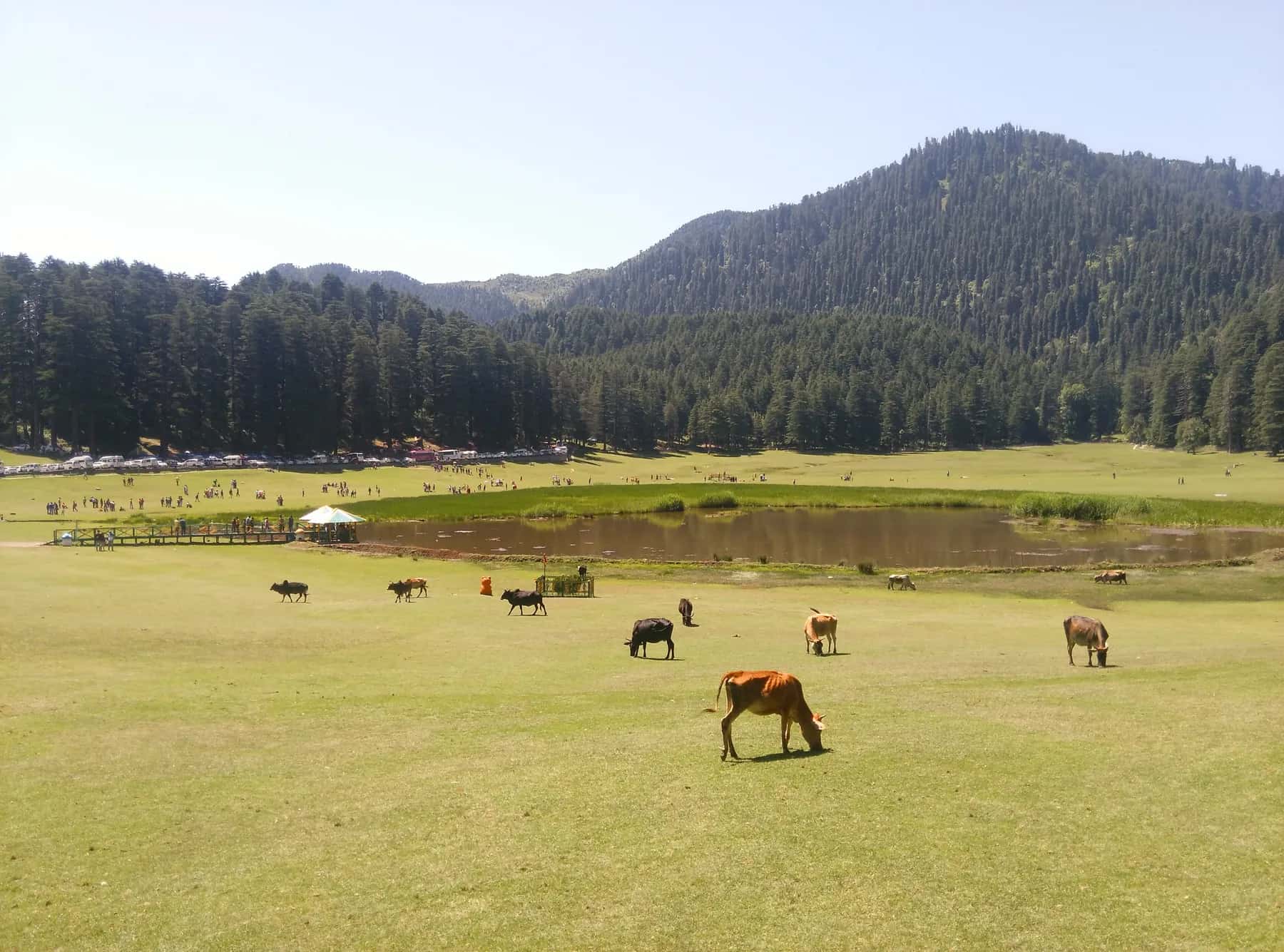Dalhousie & Khajjiar, Himachal Pradesh