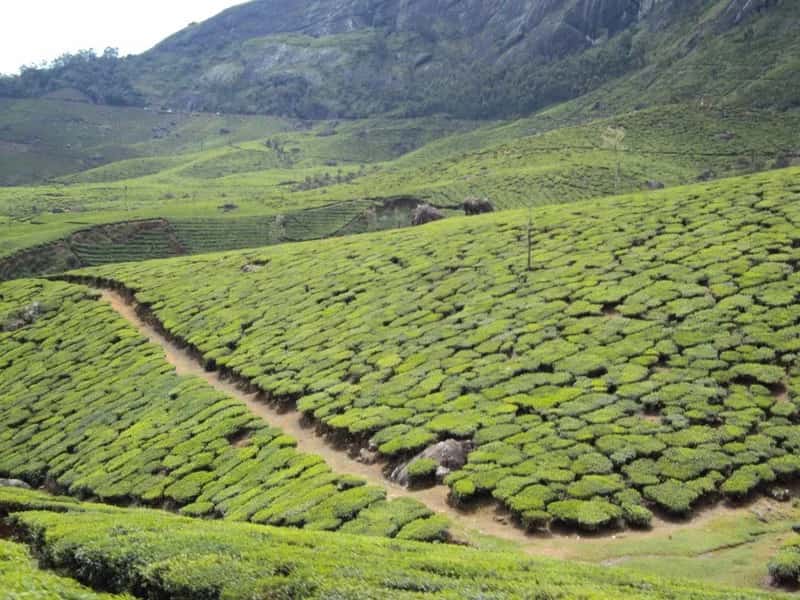 Kerala, Kerala