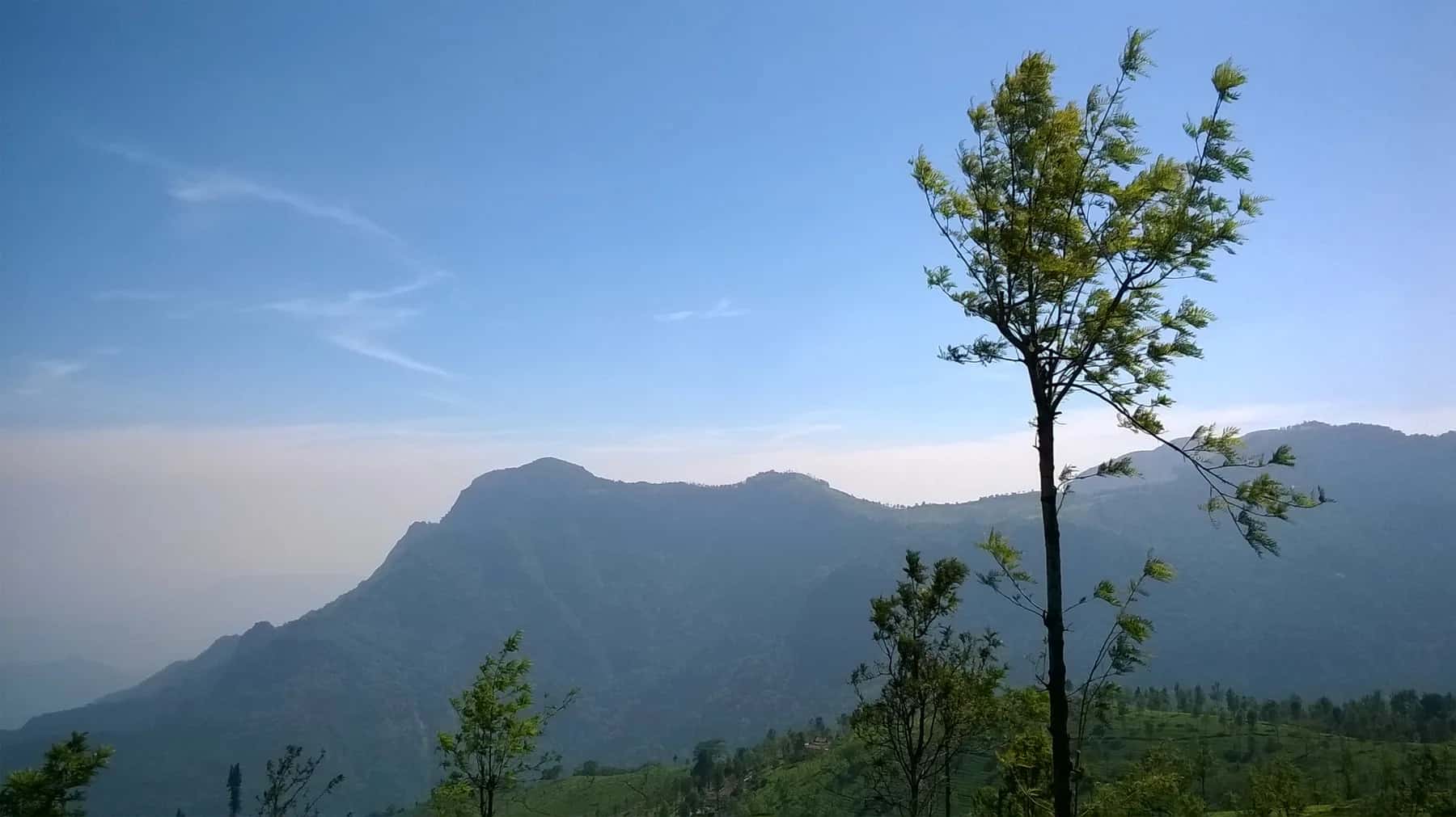 Ooty & Coonoor, Tamil Nadu