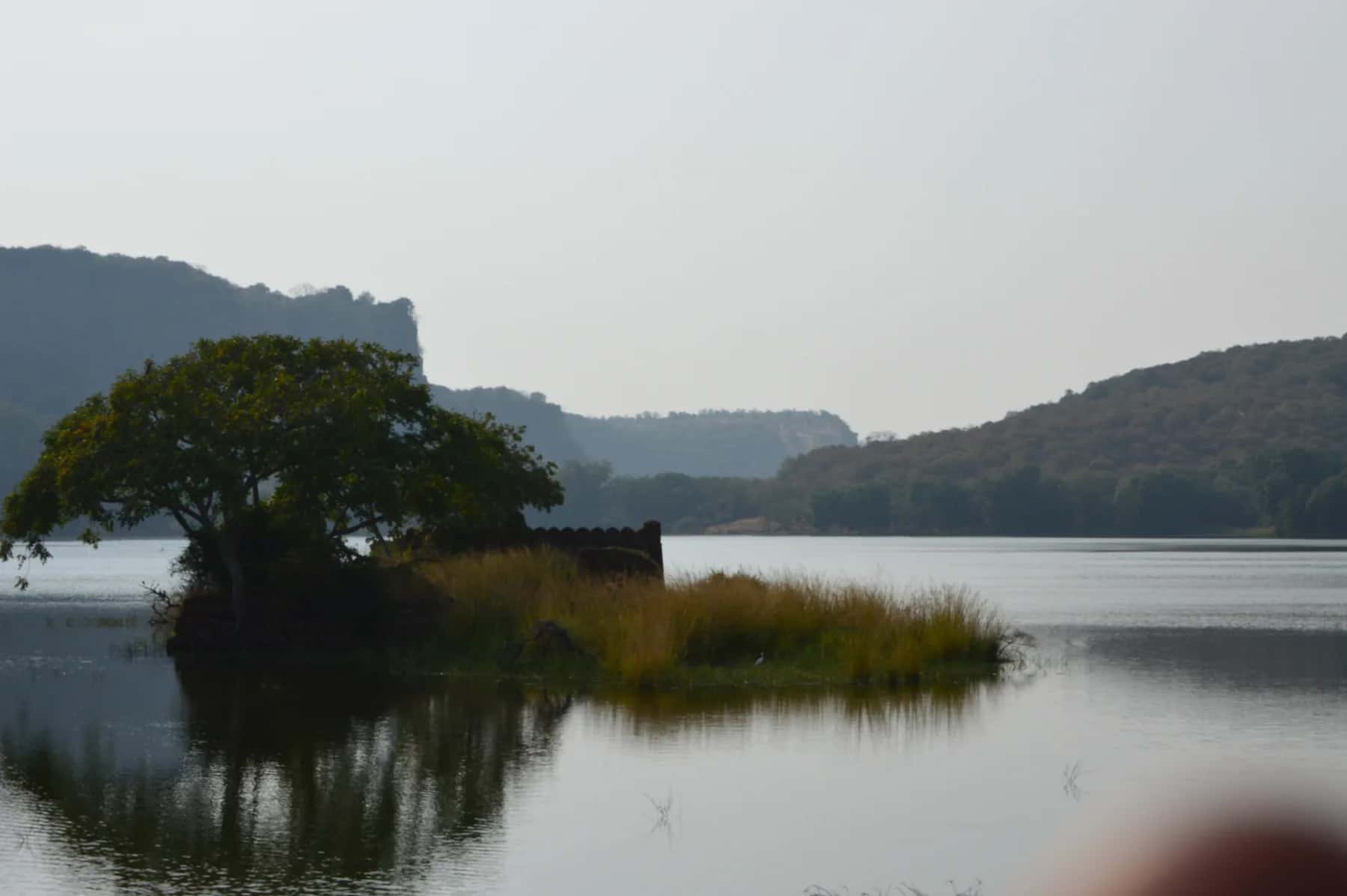 Ranthambore, Rajasthan