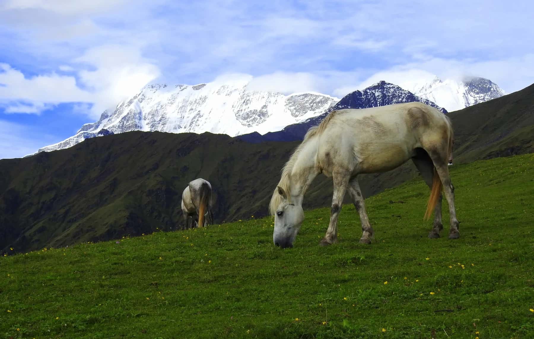 Brahmatal trek, Uttarakhand