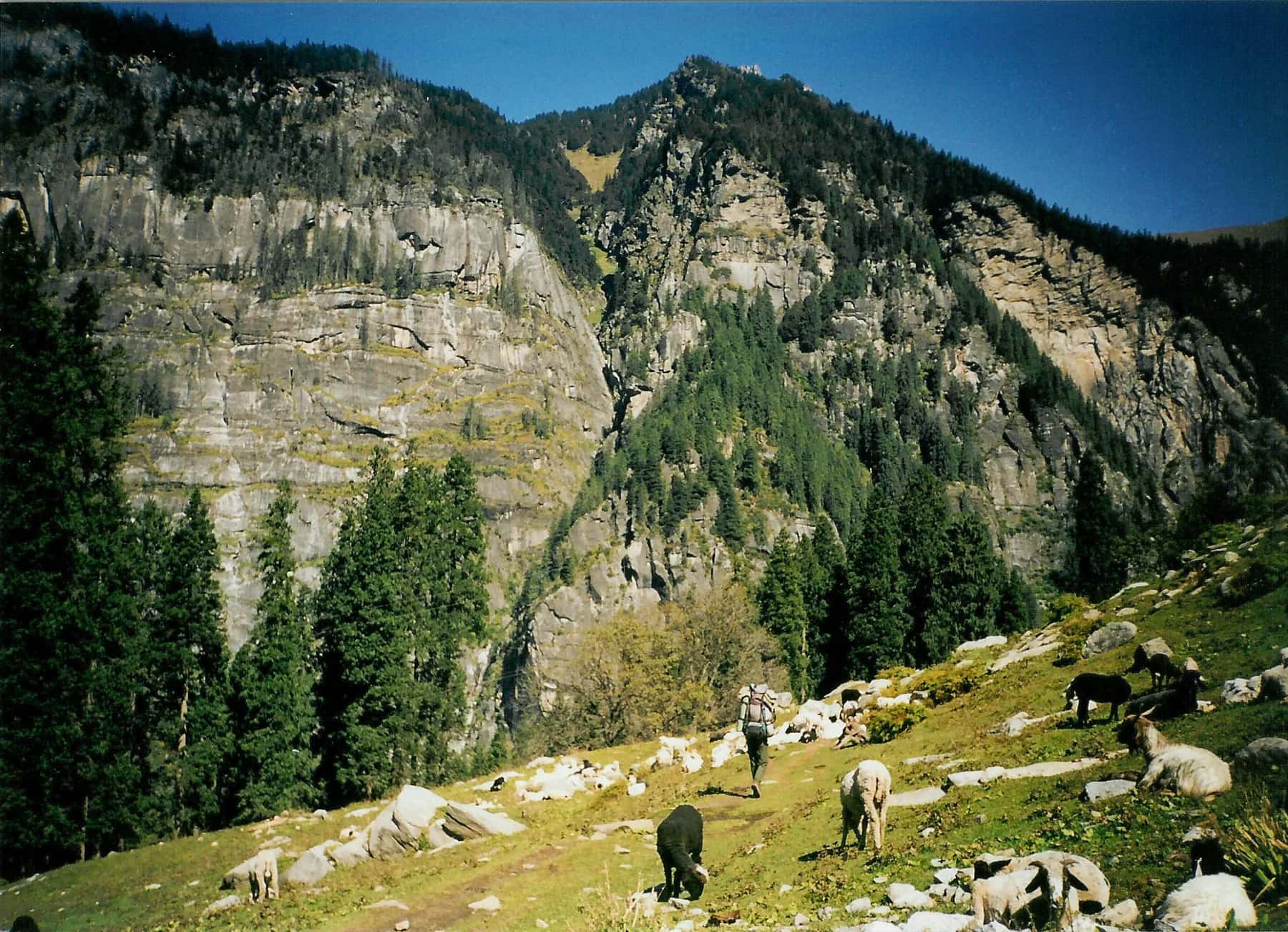 Hampta Pass trek, Himachal Pradesh