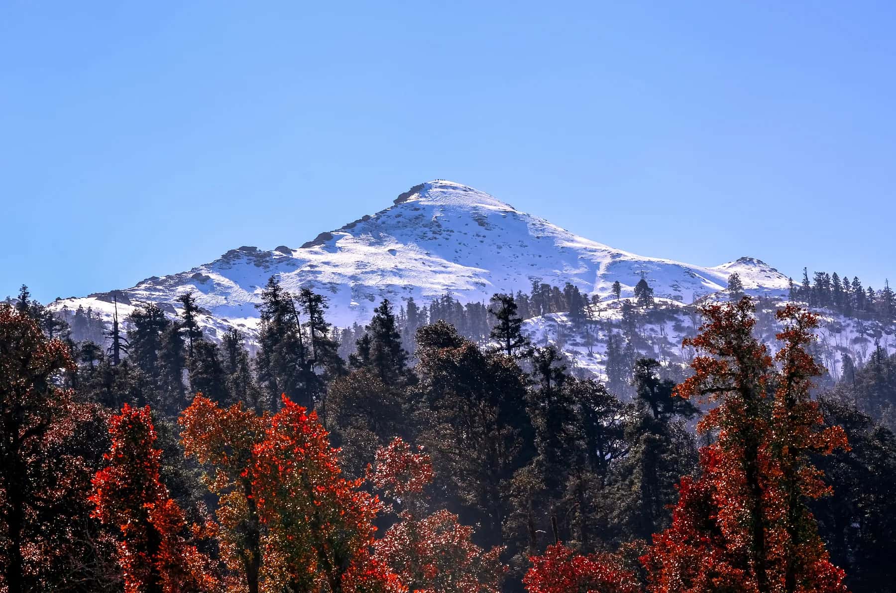 Kedarkantha trek, Uttarakhand