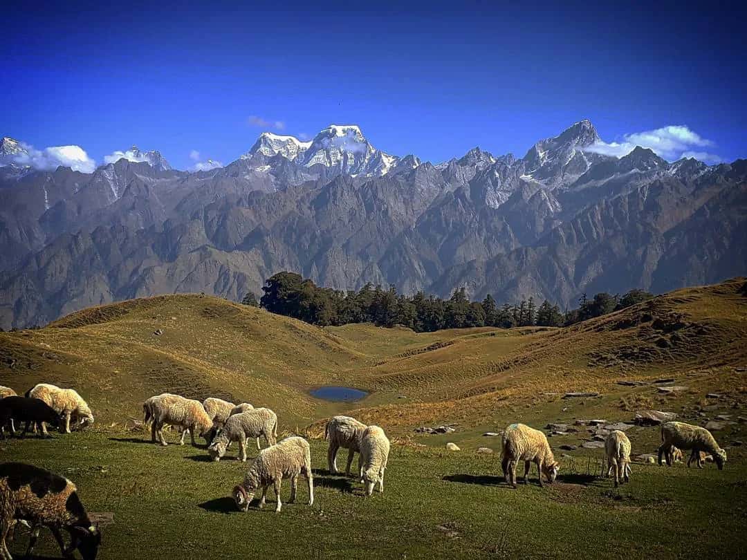 Kuari Pass trek, Uttarakhand