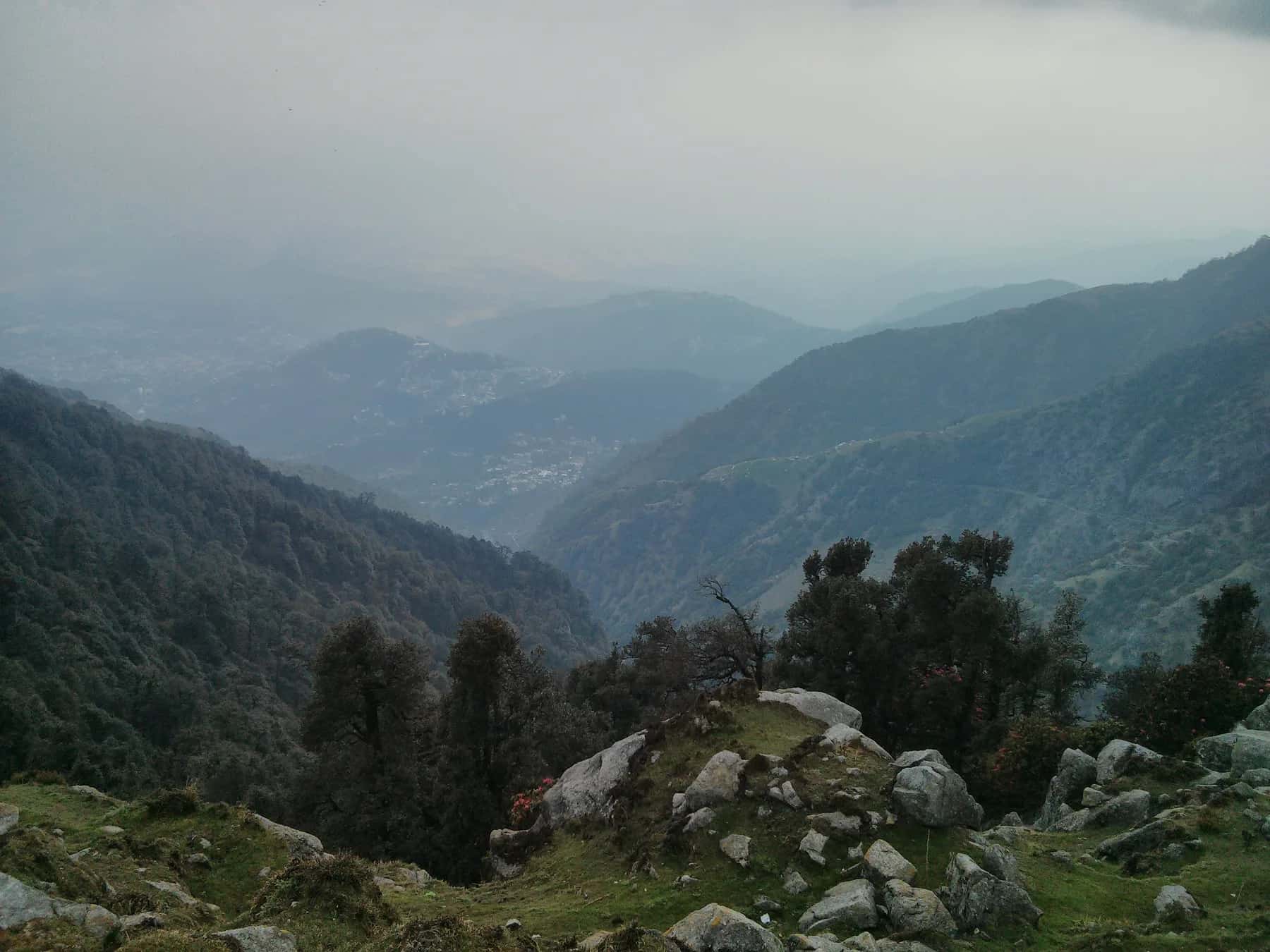 Triund trek, Himachal Pradesh