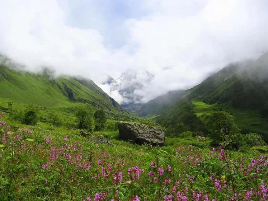 Valley of Flowers trek, Uttarakhand