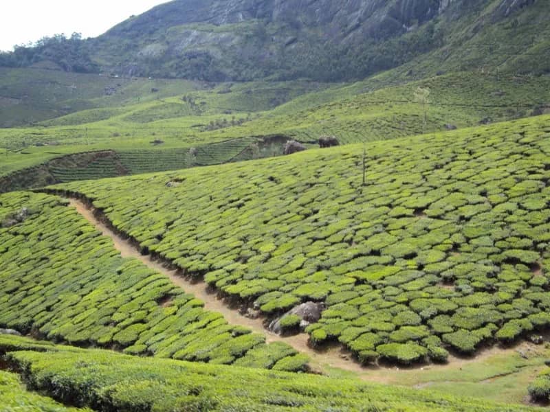 Kerala, Kerala