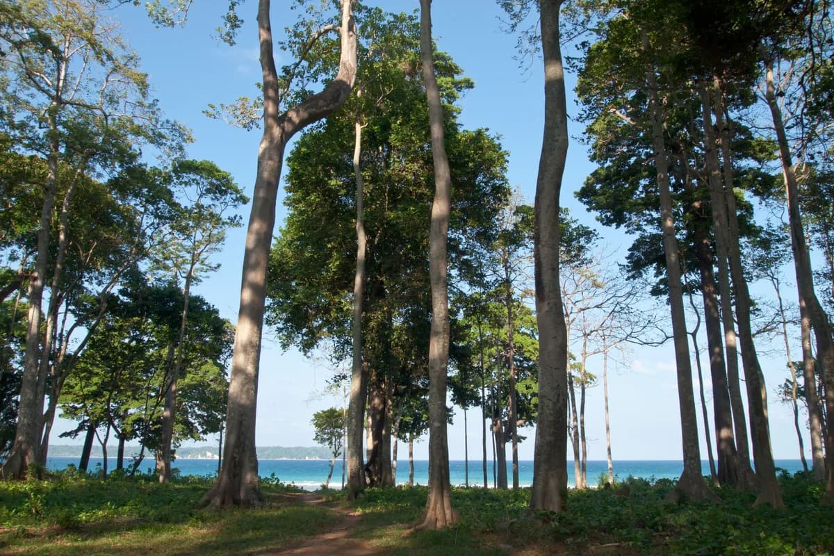 Andaman Islands view