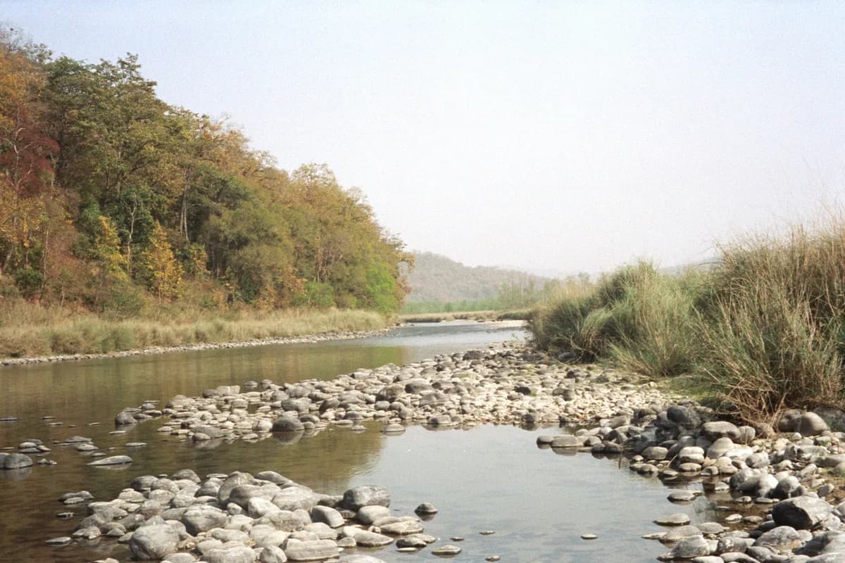 Jim Corbett view