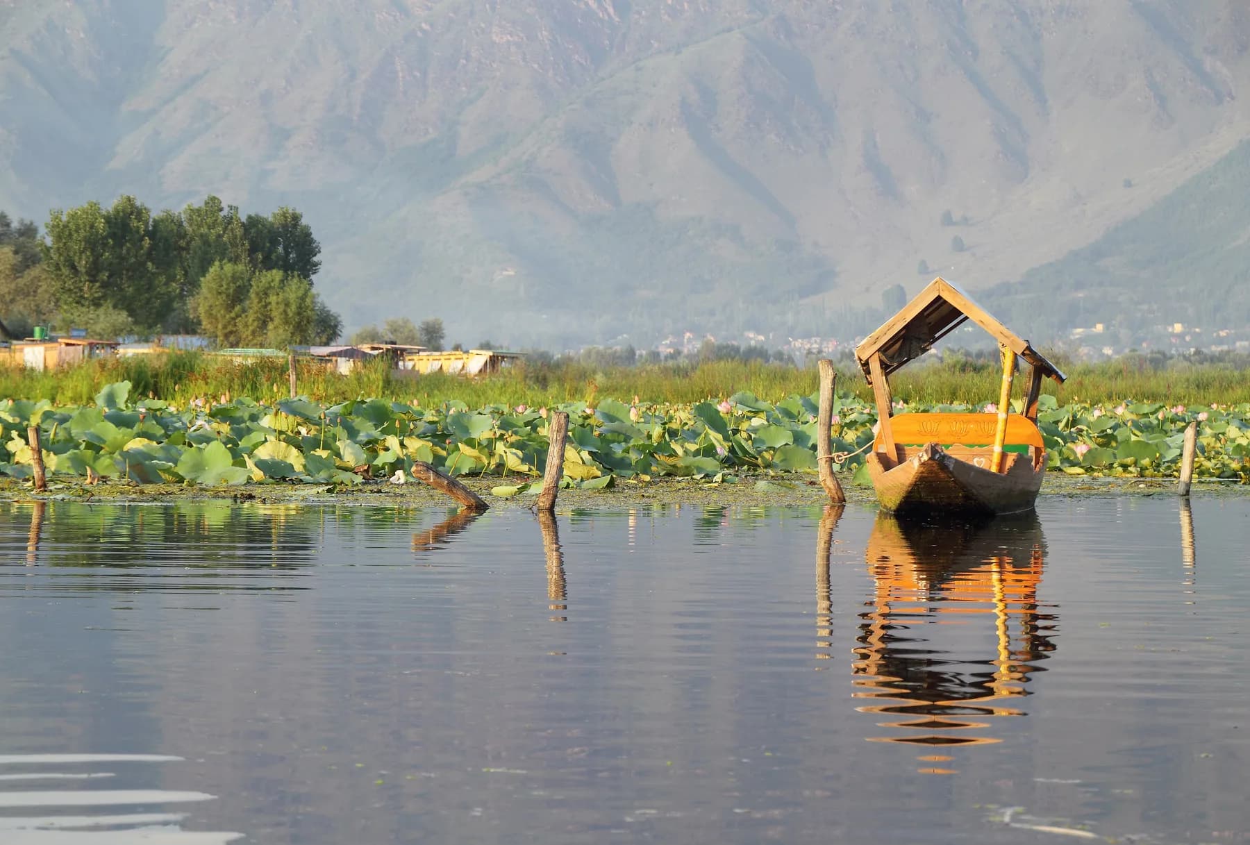 Kashmir, Jammu & Kashmir