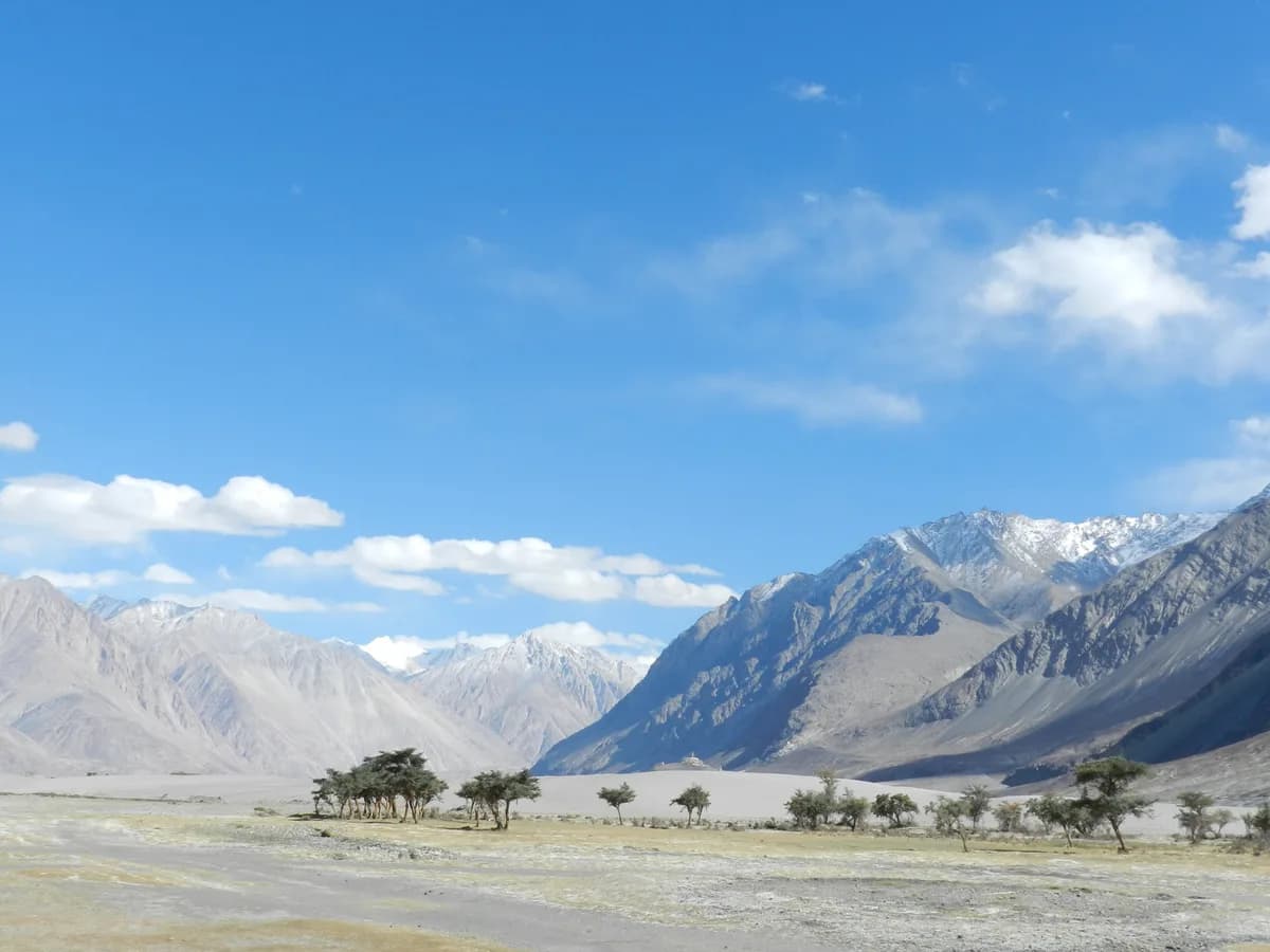 Leh Ladakh view
