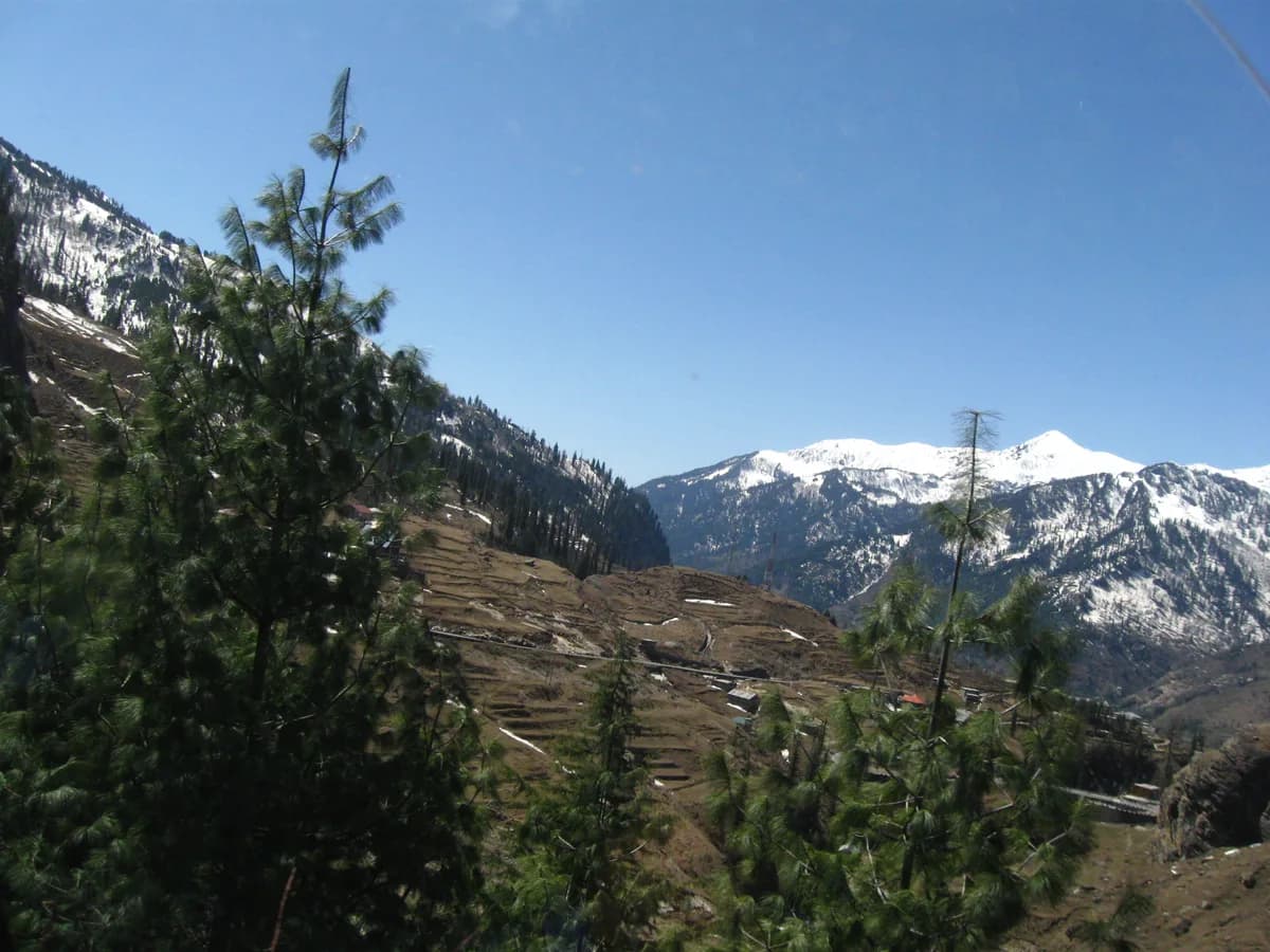 Paragliding in Bir Billing