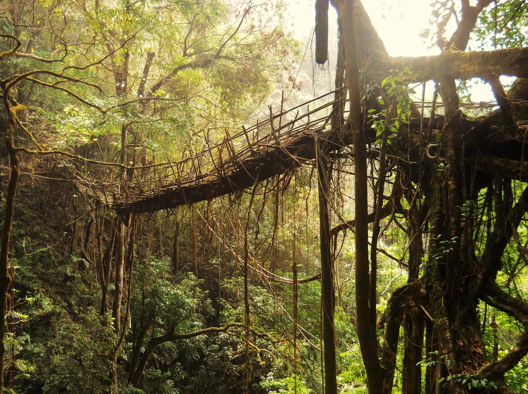 Meghalaya, Meghalaya