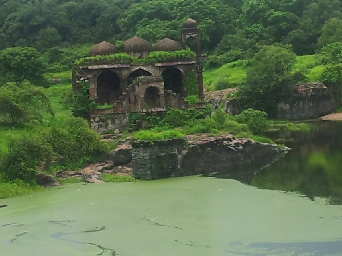 Ranthambore view
