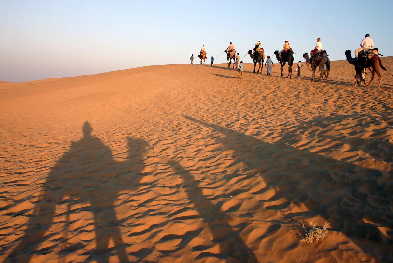 Corporate Trips & Offsites