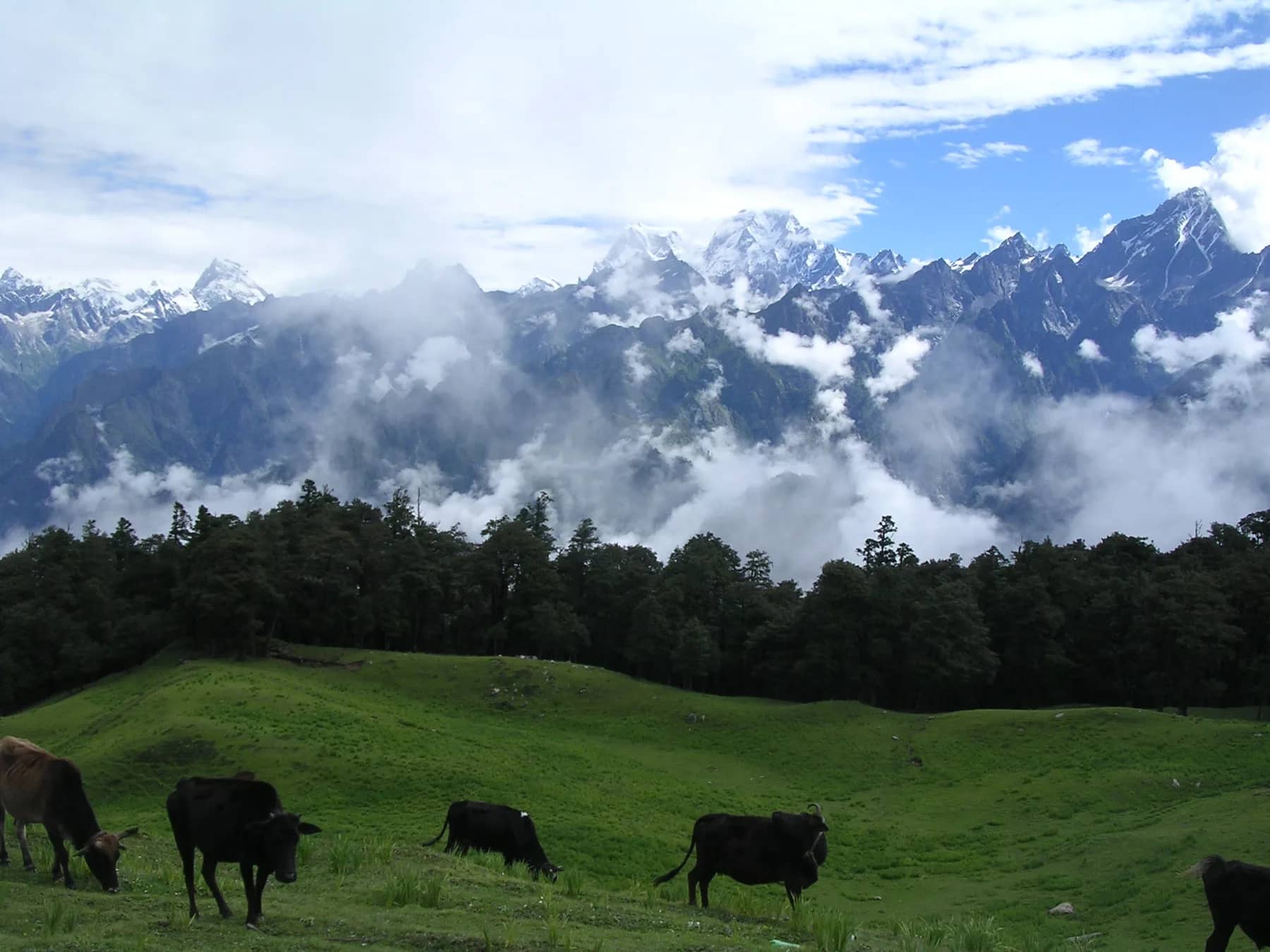 Auli, Uttarakhand