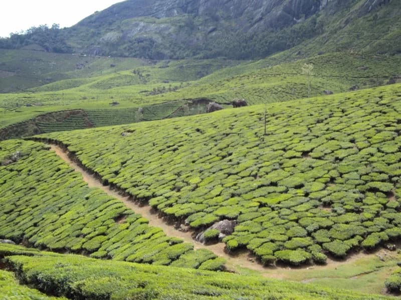 Kerala, Kerala