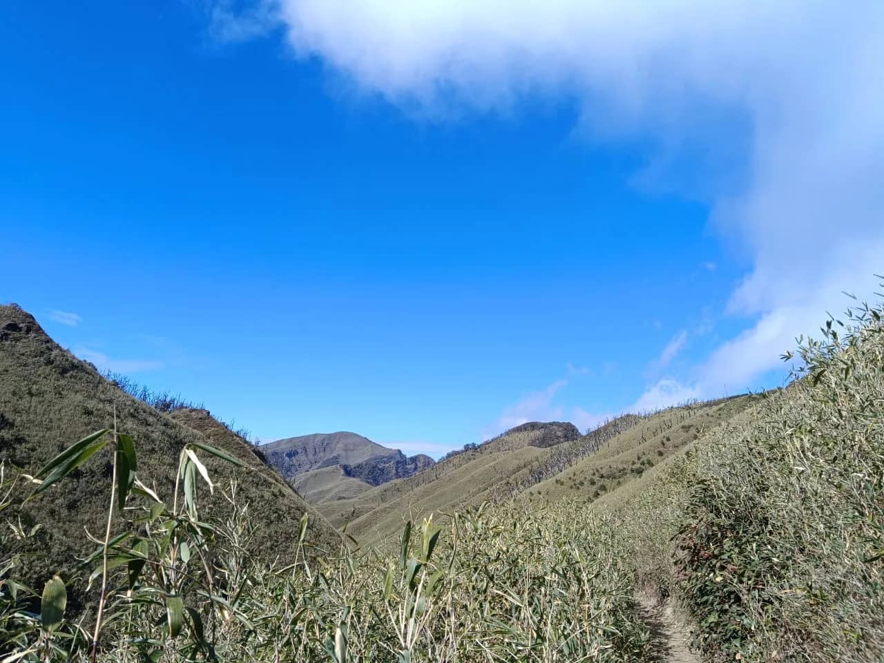 Dzukou Valley trek: Dzükou Valley, Viswema, Nagaland 2